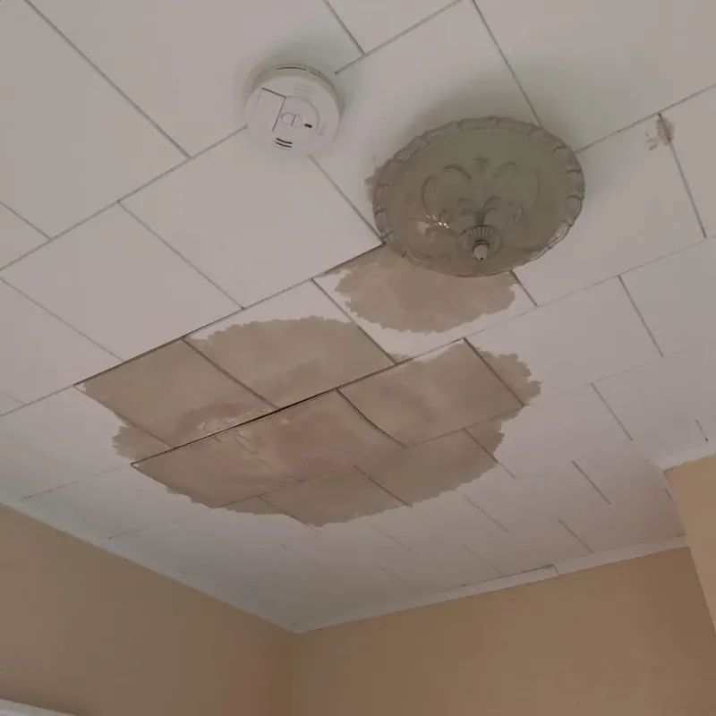 Ceiling Water Damage Repair in El Dorado, KS