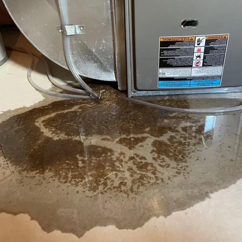 Pipe Burst and Leak Restoration in El Dorado, KS