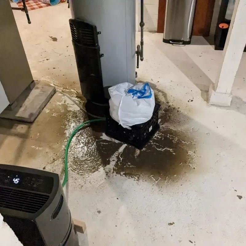Sewage Backup Cleanup Service in El Dorado, KS